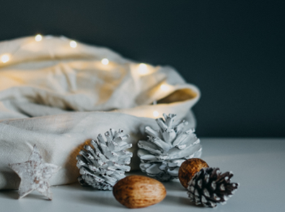 Natural And Painted Pinus Nigra and Sylvestris Pinecones In a Bowl Decoration