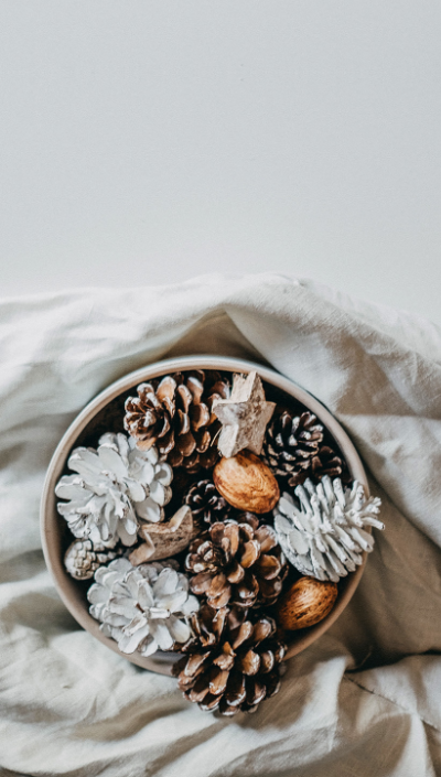 Natural And Painted Pinus Nigra and Sylvestris Pinecones Decoration